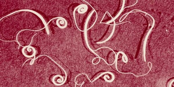 Inson parazitlarining surati